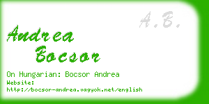 andrea bocsor business card